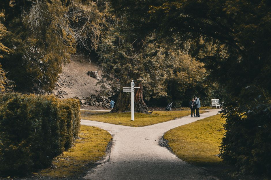 branching story paths decision tree
