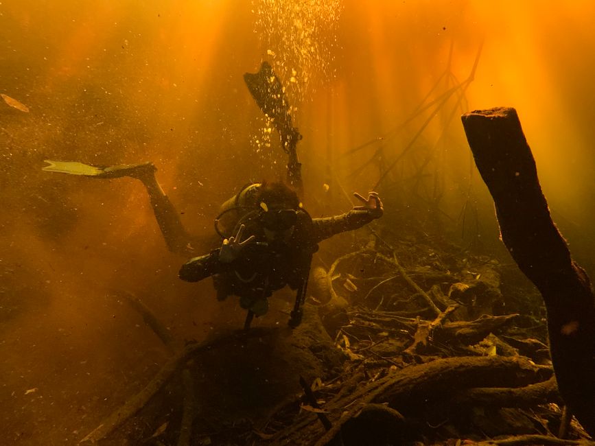 underwater exploration alien world