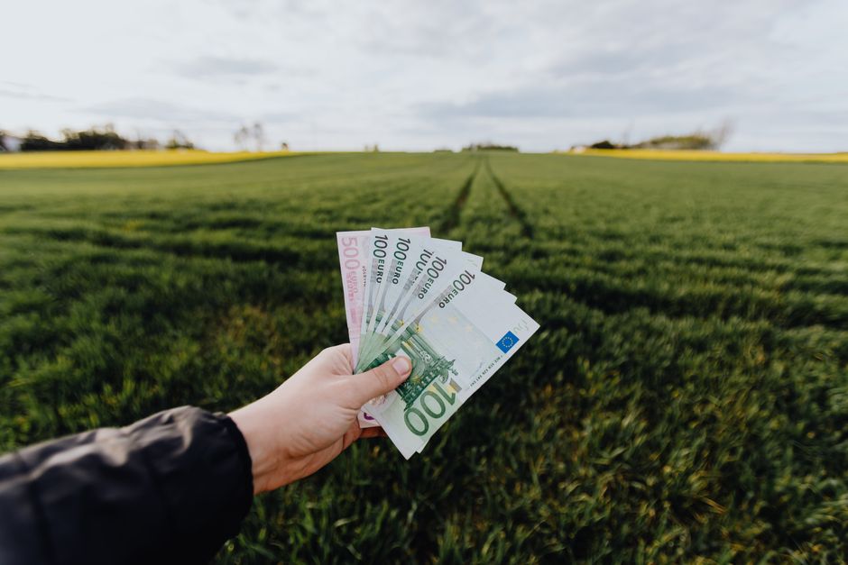web developer earning money