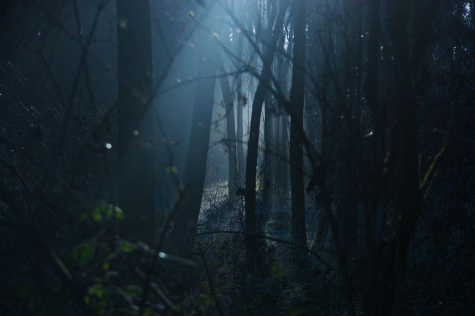 dark horror game environment