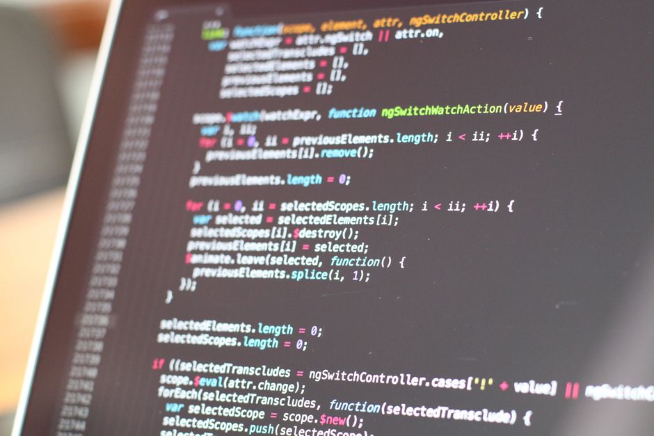 web development javascript coding
