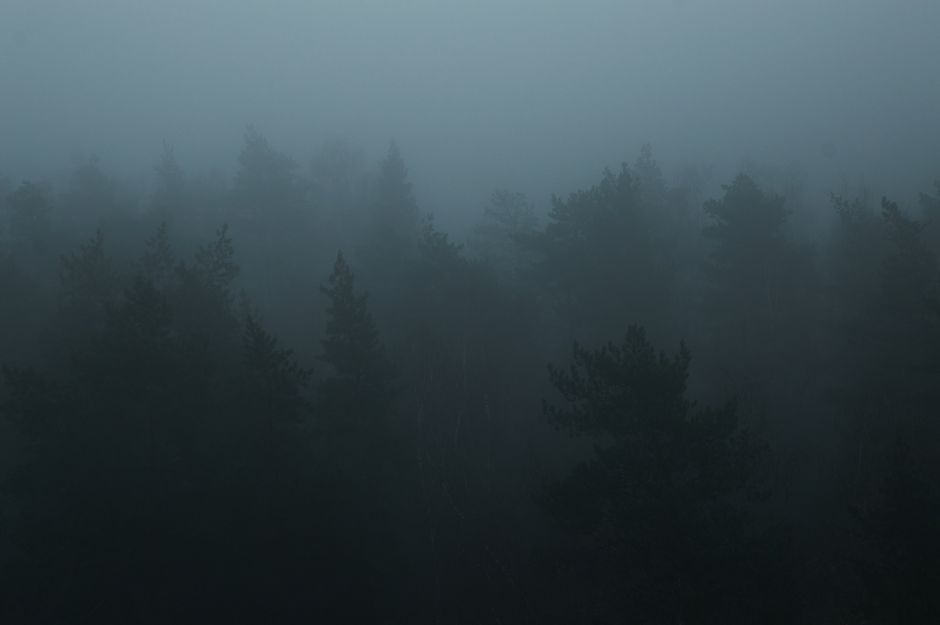 thick fog mist darkness mystery