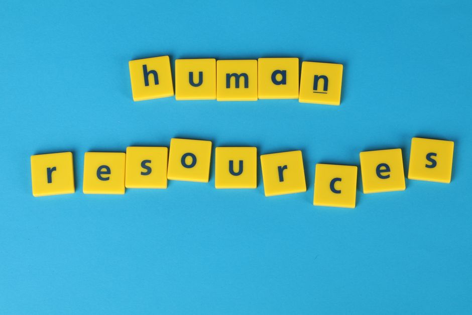 survival game mechanics resource management